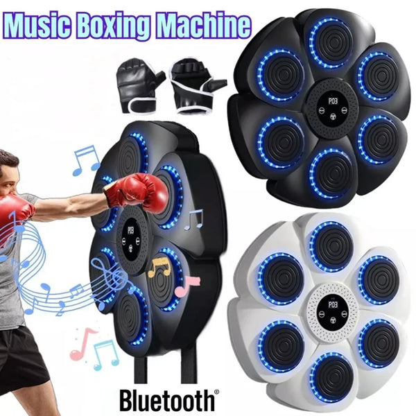 Rhythm Boxing Wall Trainer Pro